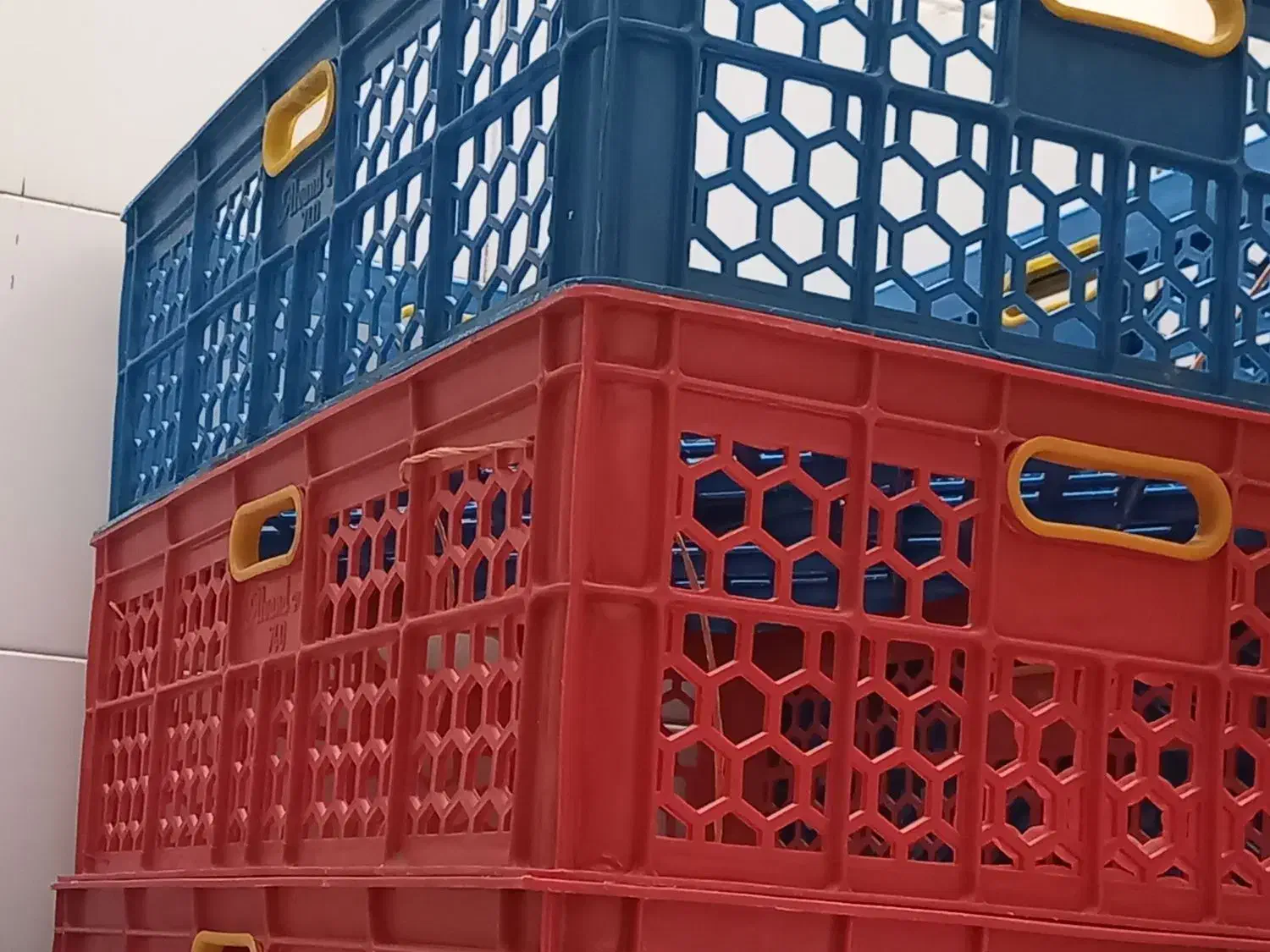 سبد پلاستیکی آشپزخانه‌ای صنعتی|ظروف نگهدارنده، پلاستیکی، یک‌بارمصرف|جم, |دیوار