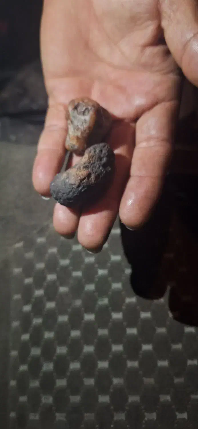 شهاب سنگ|کلکسیون اشیاء عتیقه|میناب, |دیوار