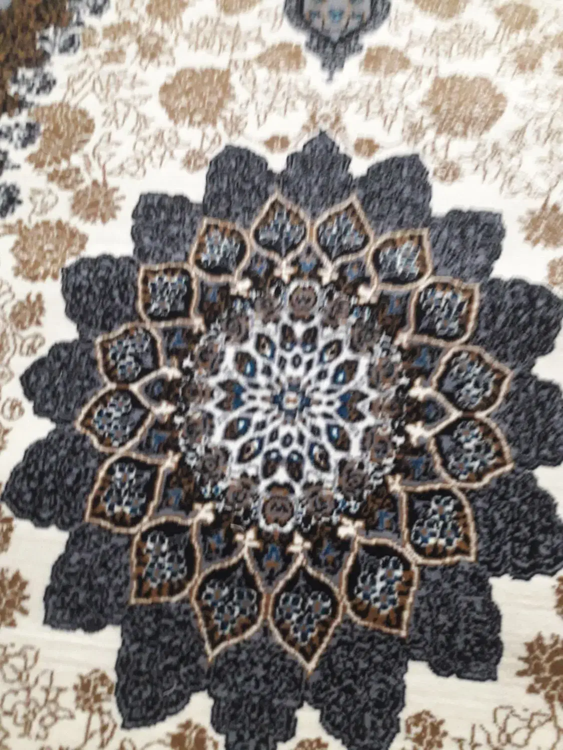 فرش ۶متری نونو|فرش|سبزوار, قاضی زاد|دیوار