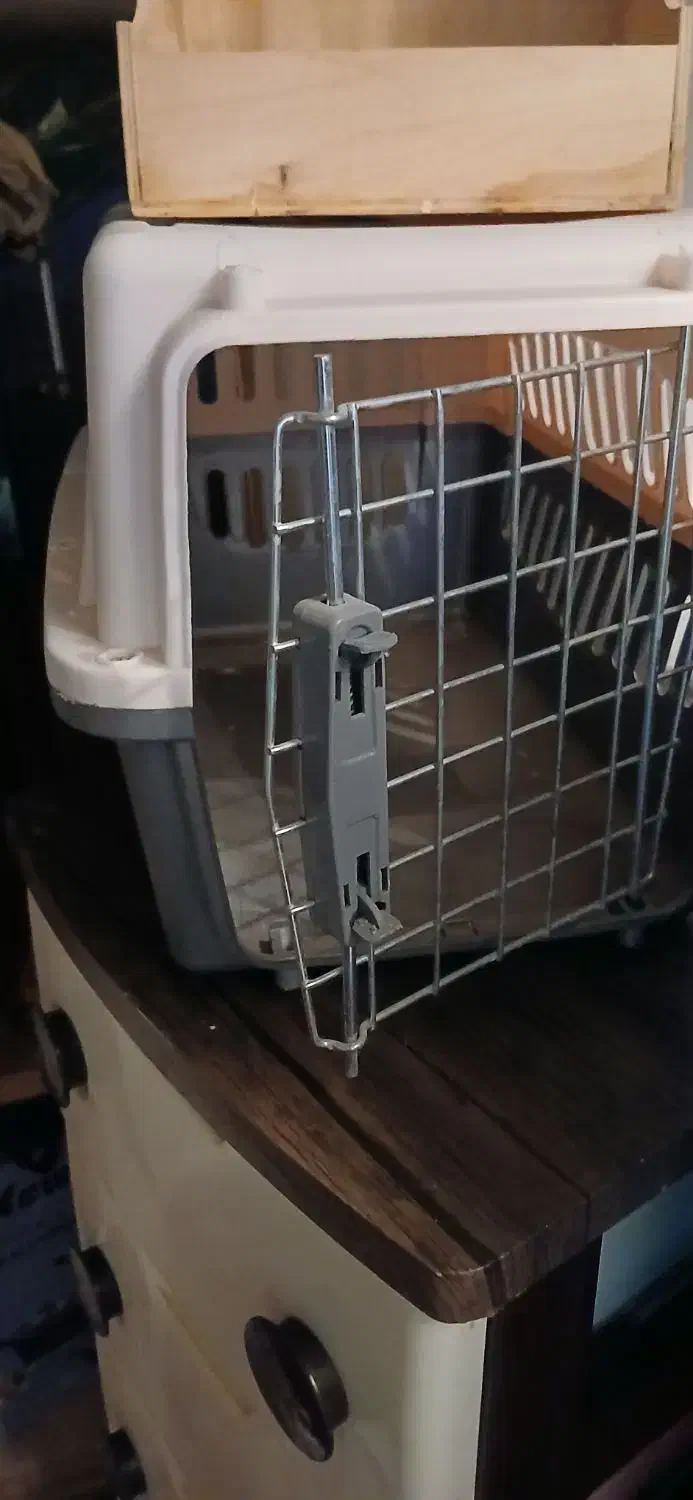 باکس حمل پت|لوازم جانبی حیوانات|کرج, حصار سرجوب|دیوار