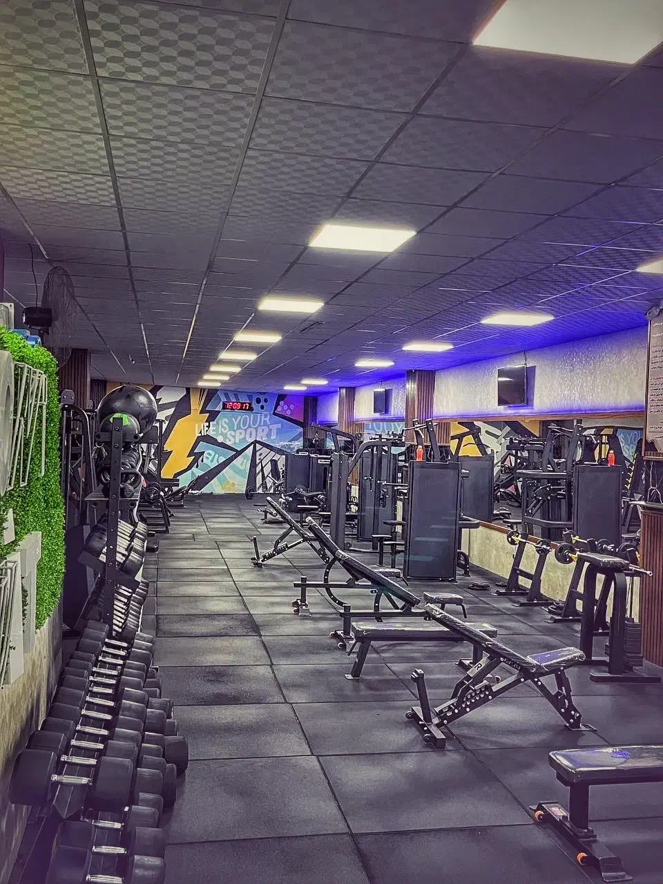 وسایل فروشی بدنسازی کامل|تجهیزات ورزشی|رشت, گلسار|دیوار