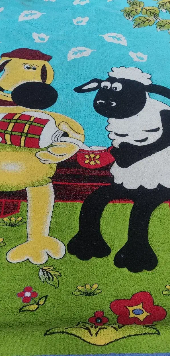 فرش|فرش|بیرجند, |دیوار