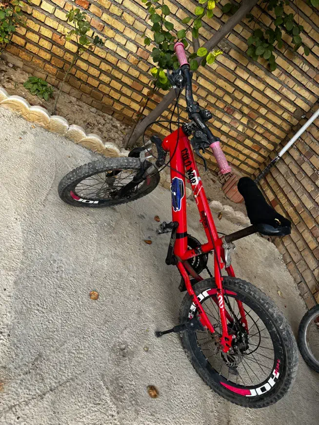 دوچرخه|دوچرخه، اسکیت، اسکوتر|گنبد کاووس, |دیوار