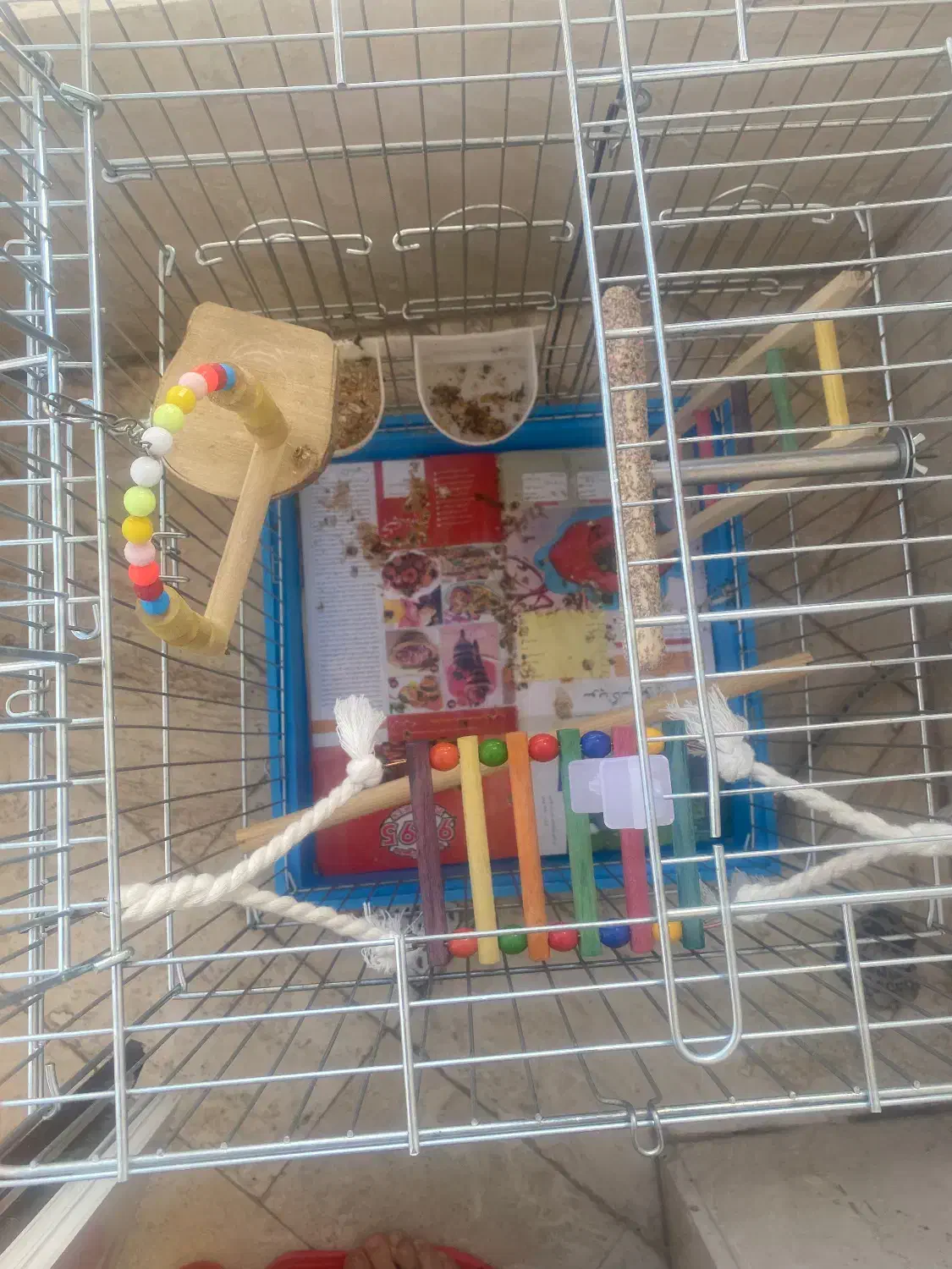 قفس پرنده طوطی سان|لوازم جانبی حیوانات|قم, بکایی|دیوار