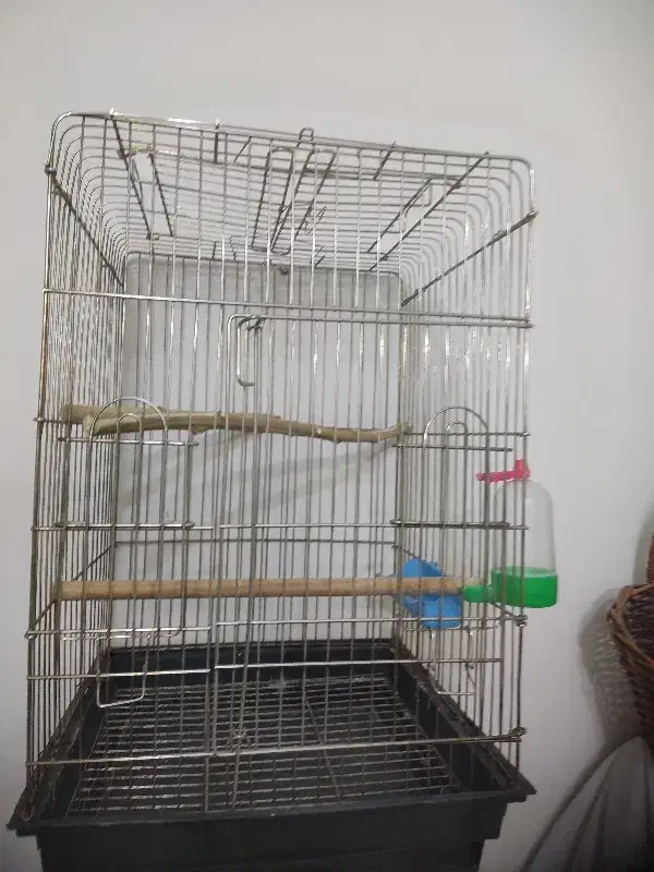 قفس طوطی|لوازم جانبی حیوانات|اصفهان, الهیه|دیوار