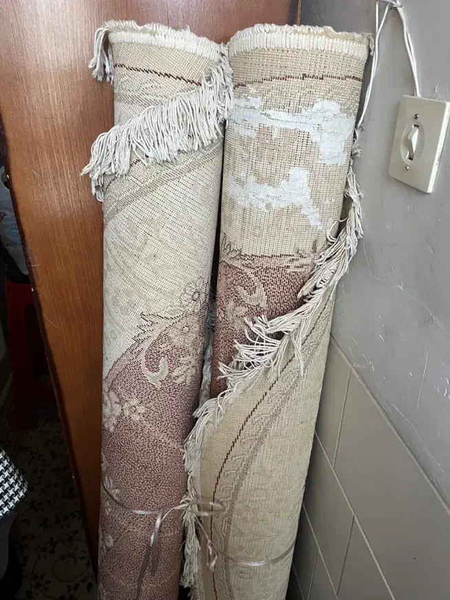 ۲عددگلیم فرش رنگ کرم|فرش|یزد, |دیوار