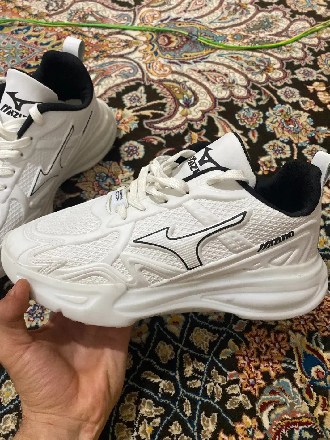 کفش نو|کیف، کفش، کمربند|کهک, |دیوار