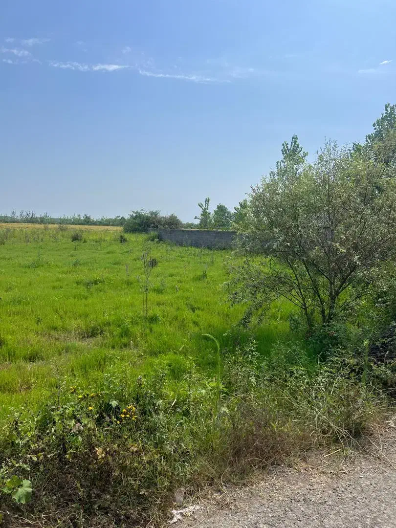 زمین مسکونی و جای آب هوای خوب|فروش زمین و ملک کلنگی|تولم شهر, |دیوار