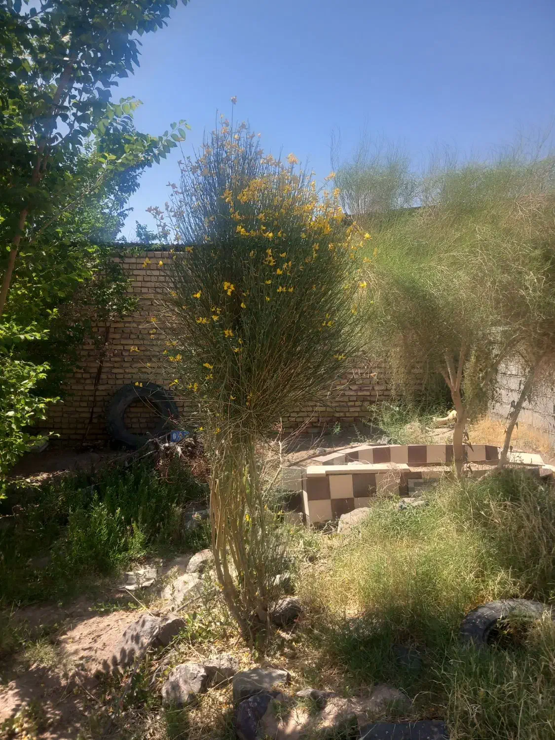 منزل مسکونی نوق رفسنجان (کمال ابادنوق)|اجارهٔ خانه و ویلا|فردوس (کرمان), |دیوار