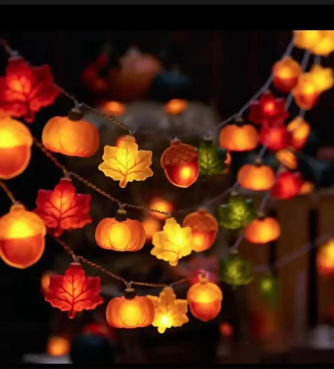 ریسه پاییزی،پاییز،برگ، ریسه چراغ دار،باتری|ریسه و چراغ تزئینی|تهران, سعادتآباد|دیوار