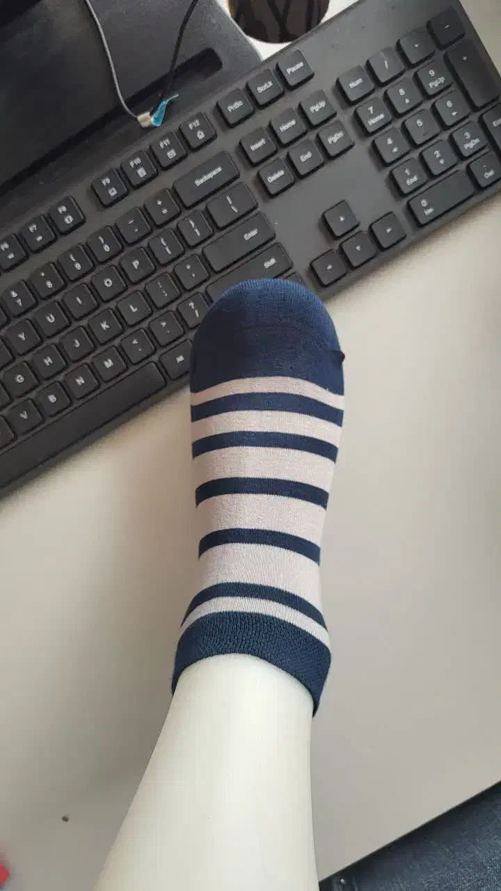 پخش انواع جوراب|لباس|برخوار, |دیوار