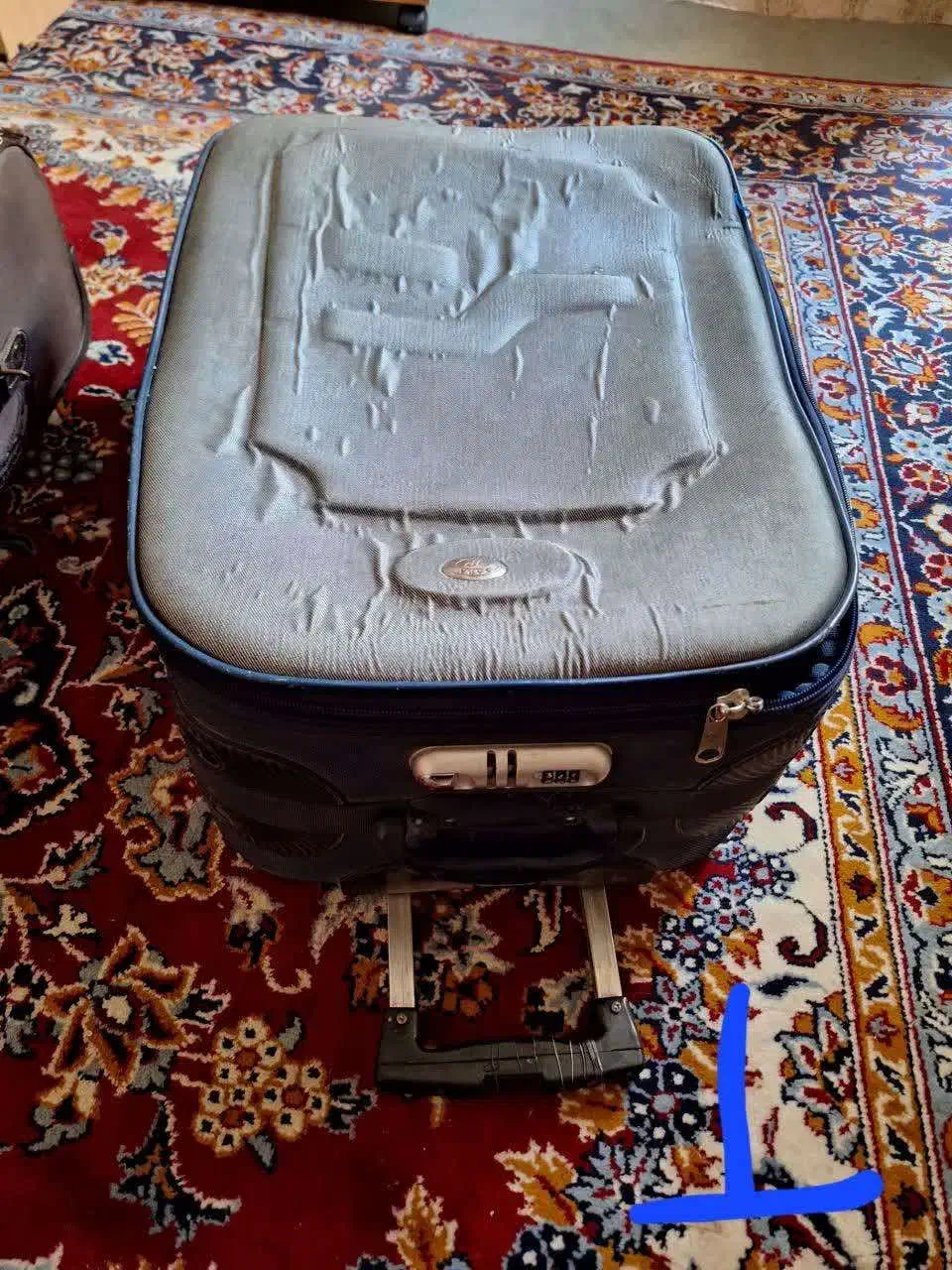 چمدان|کیف، کفش، کمربند|اهر, |دیوار