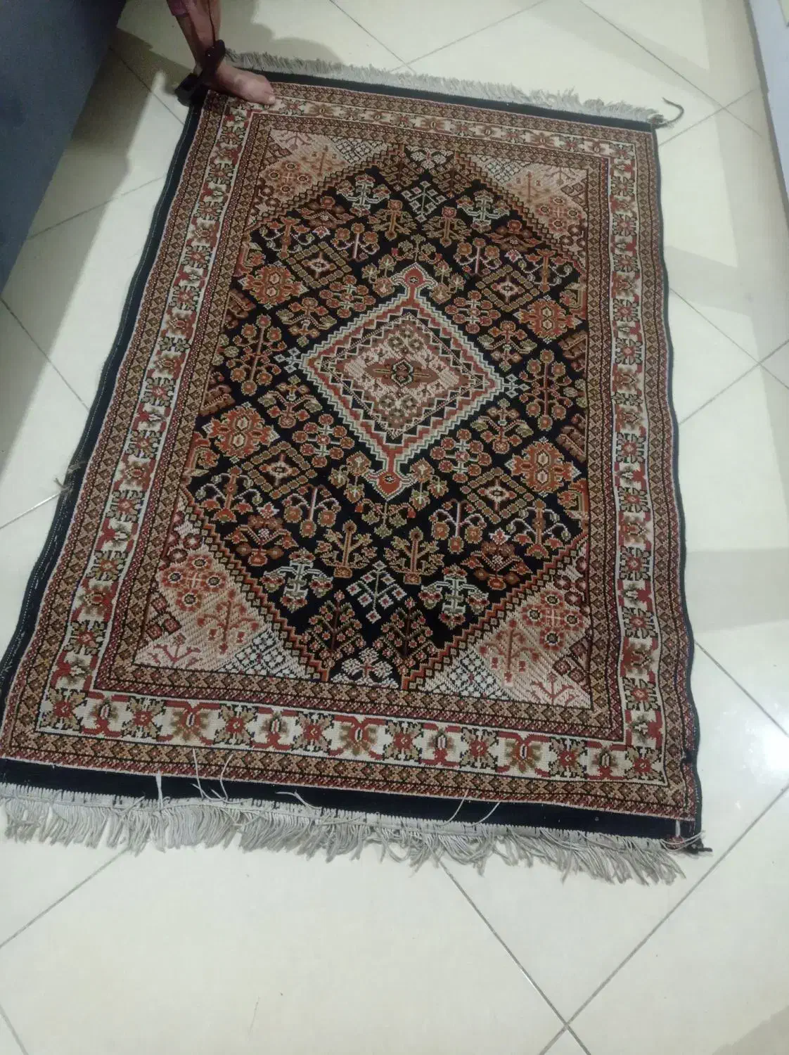 دوتا قالیچه|فرش|مشهد, رستگار|دیوار