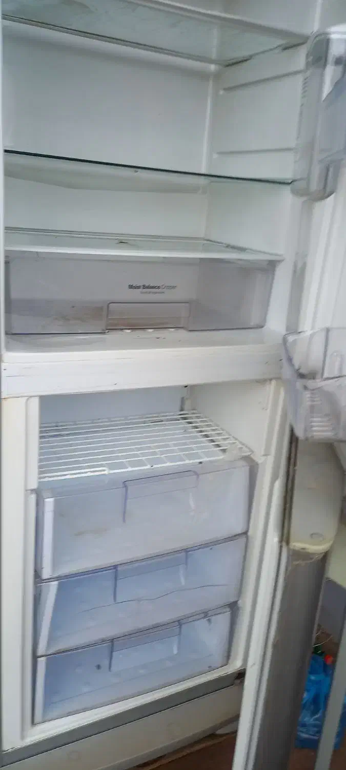 یخچال فریزر سیلوان تمیز و مرتب|یخچال و فریزر|گالیکش, |دیوار