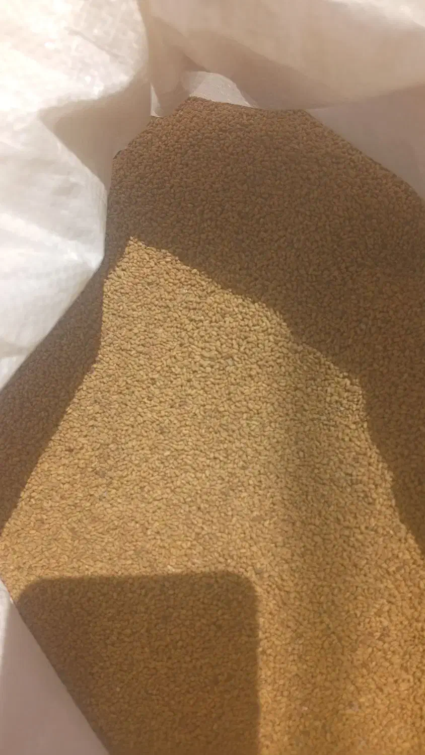 بذر یونجه|خدمات باغبانی و درختکاری|شیراز, حومه شیراز|دیوار