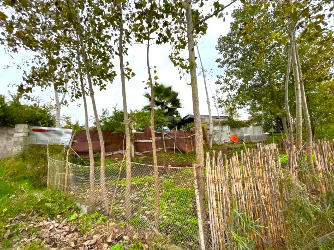 شالیزار2هزار متری چسبیده به بافت بامدارک شسته رفته|فروش زمین و ملک کلنگی|چاف و چمخاله, |دیوار