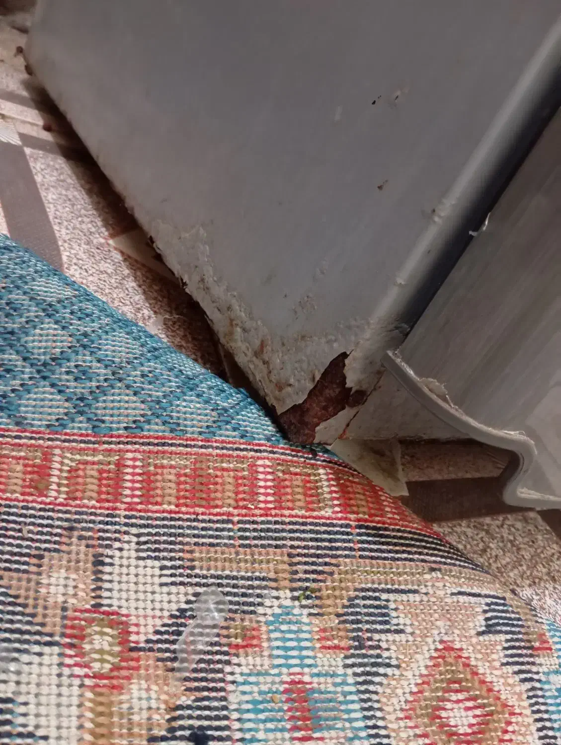 یخچال فریزر|یخچال و فریزر|چابهار, |دیوار