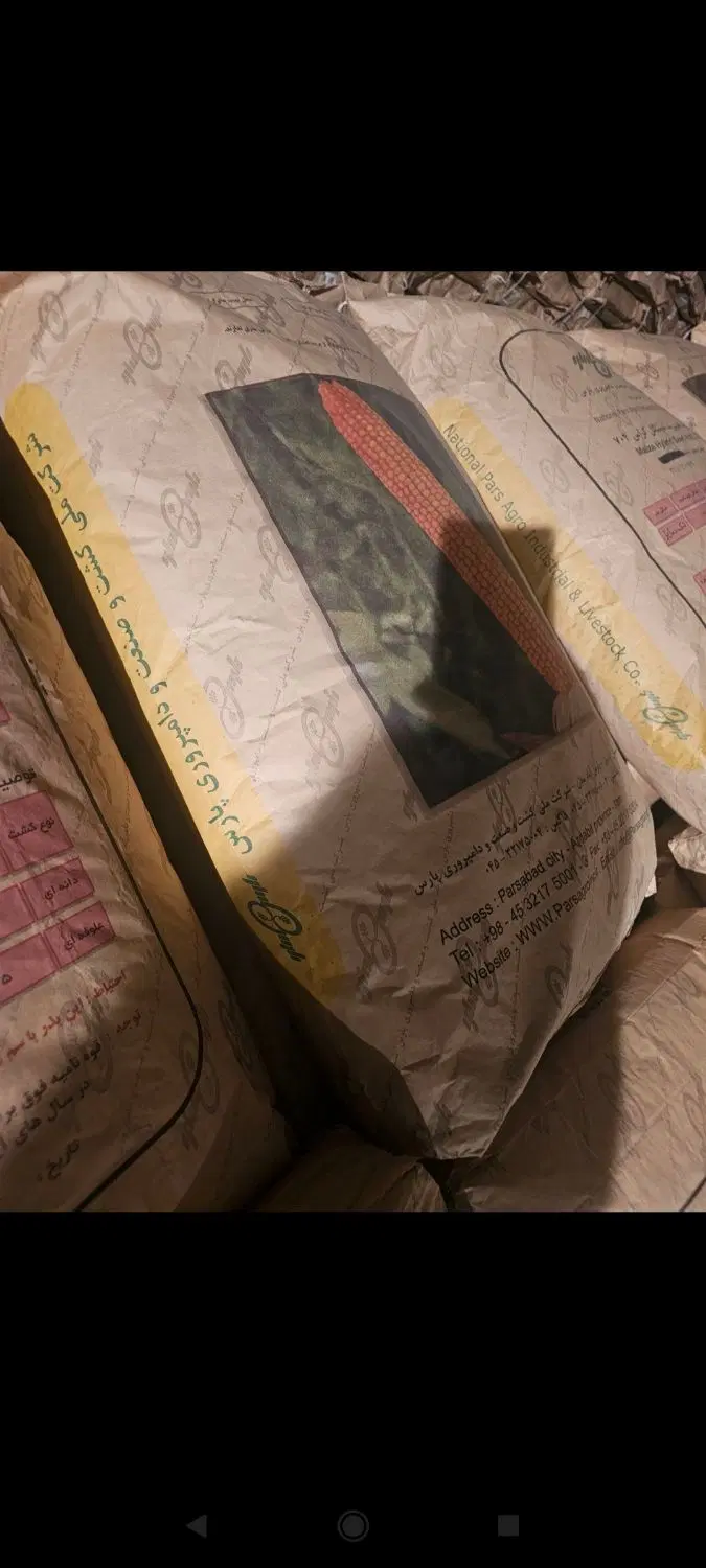 بذر ذرت اورجینال بذر 704کشت و صنعت پارس|گل و گیاه طبیعی|تهران, استاد معین|دیوار