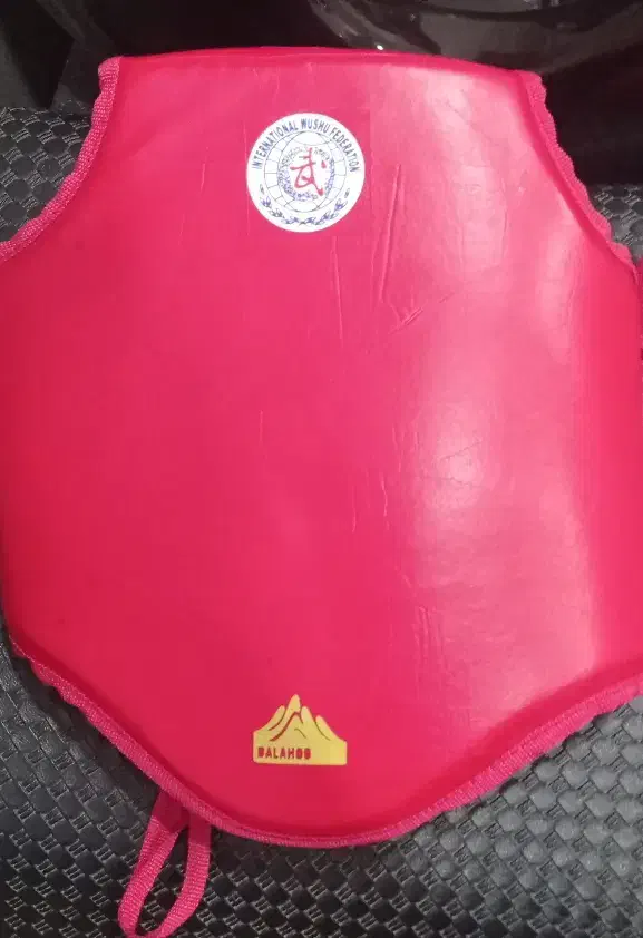 دستکش و وسایل ووشو|تجهیزات ورزشی|شیروان (خراسان), |دیوار