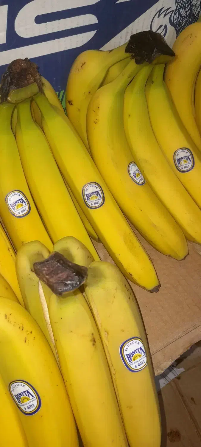 شاگرد میوه فروشی|استخدام خدمات فروشگاه و رستوران|بروجن, |دیوار