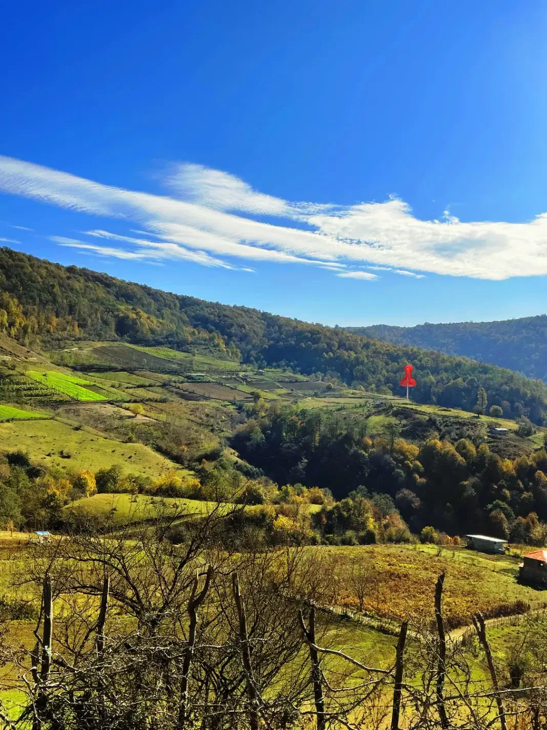 فروش فوری زمین1000متری  تو ساری منطقه دودانگه|فروش زمین و ملک کلنگی|فریم, |دیوار