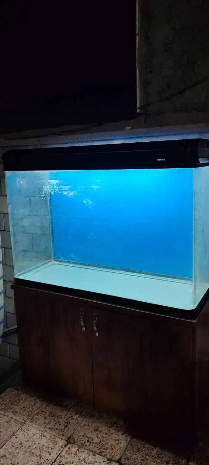 اکواریوم به همراه میز|لوازم جانبی حیوانات|اهواز, کمپلو جنوبی|دیوار
