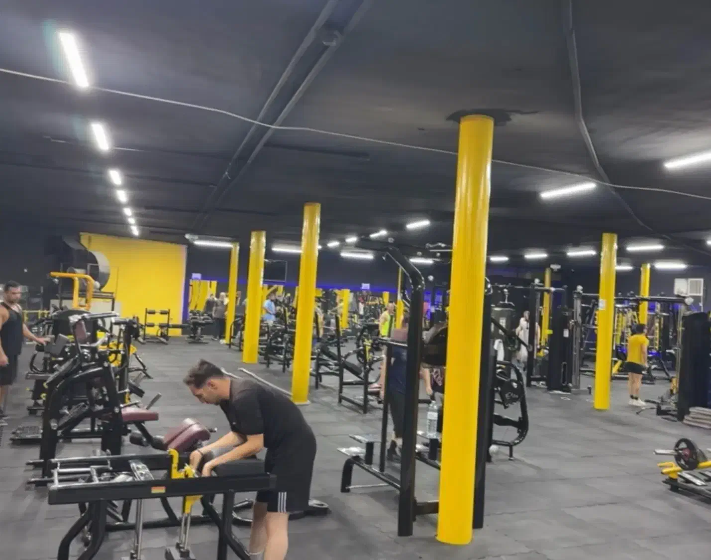 برنامه تمرینی + غذایی|خدمات آموزشی|قم, باغ شازده|دیوار