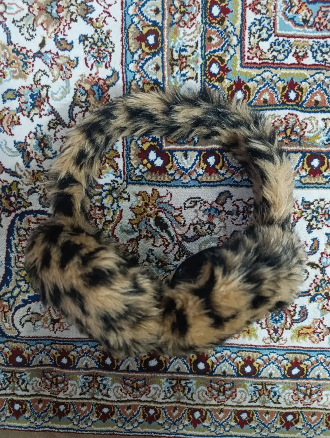 گوشگیر پلنگی نو|لباس|مشهد, حسابی جنوبی (شهرک غرب)|دیوار