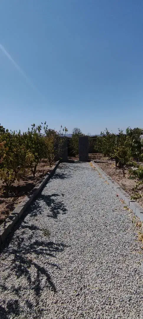 باغچه و باغ / سند اب سهمیه ای /دیوار و در ماشین رو|فروش زمین و ملک کلنگی|تهران, نعمت‌آباد|دیوار