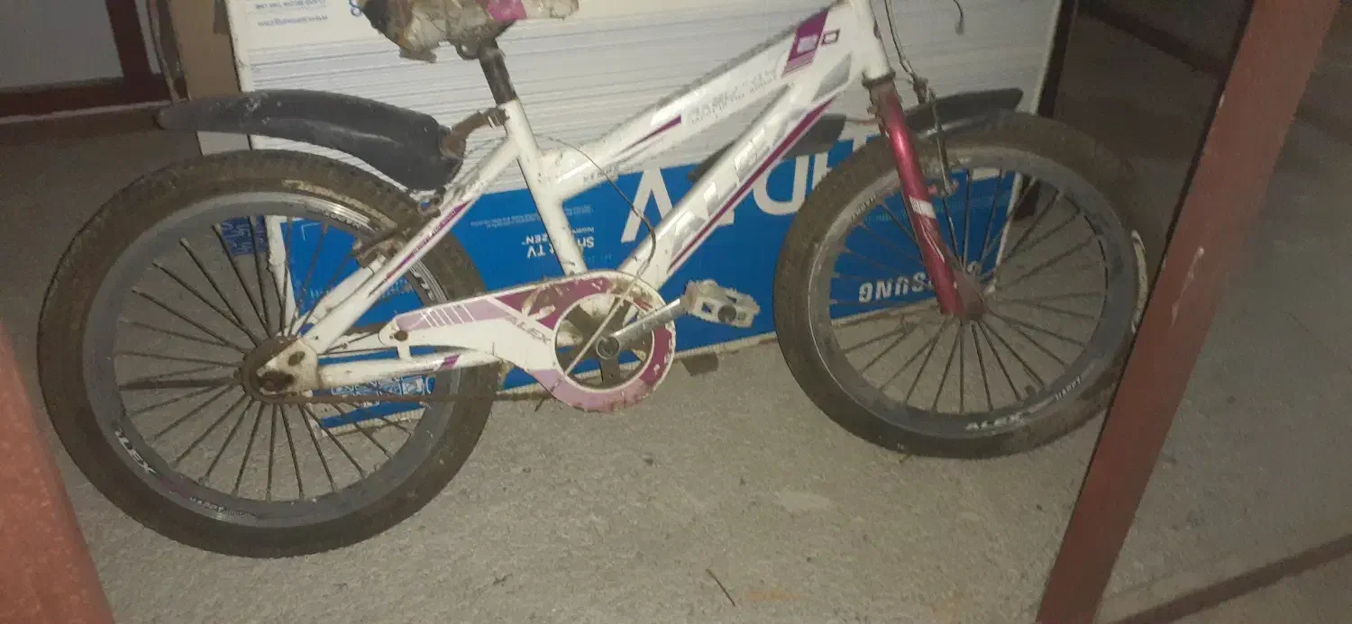 دوچرخه سالم|دوچرخه، اسکیت، اسکوتر|نوشهر, |دیوار