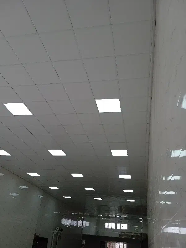 سقف کاذب و کناف و پارکت|خدمات پیشه و مهارت|میانه, |دیوار