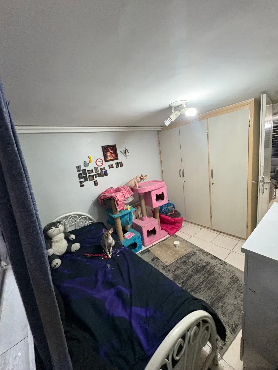 اپارتمان دو‌ خوابه مجردی زوج مرزداران