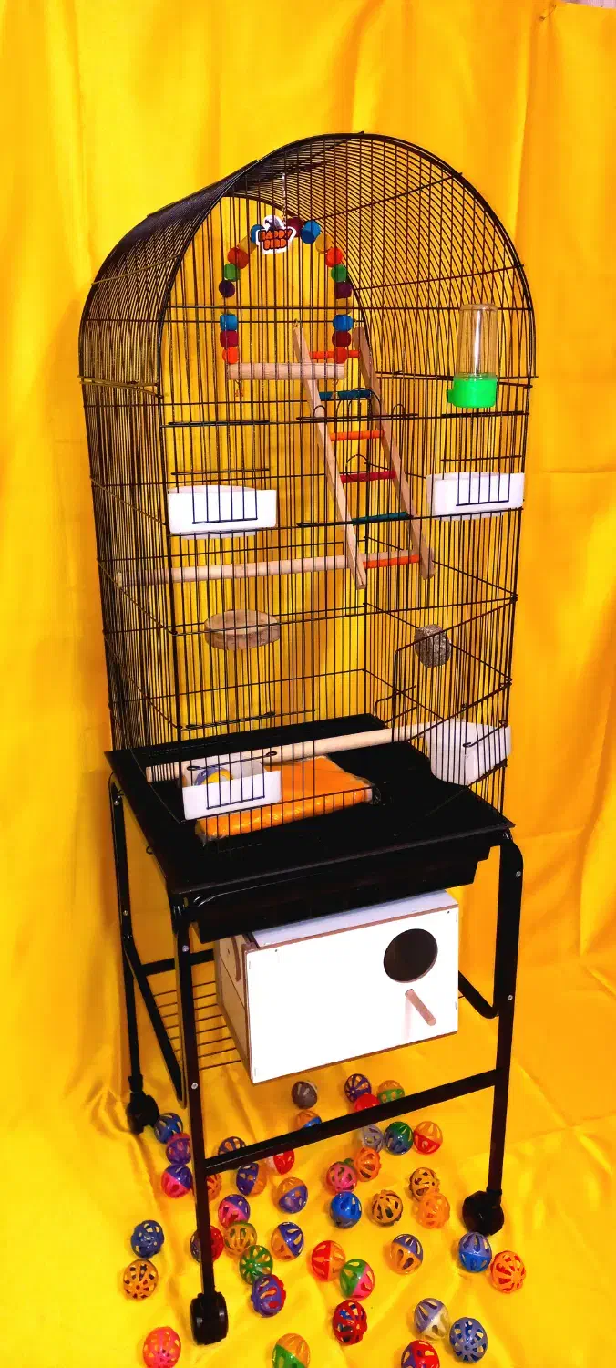 قفس پرنده عروس هلندی گرینچیک مرغ عشق کاسکو مینا|لوازم جانبی حیوانات|تهران, جیحون|دیوار