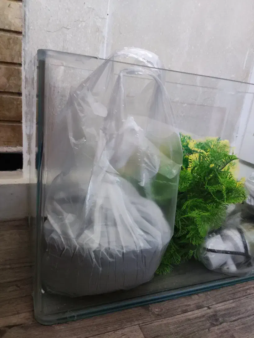 اکواریوم|ماهی|شیراز, زرگری|دیوار