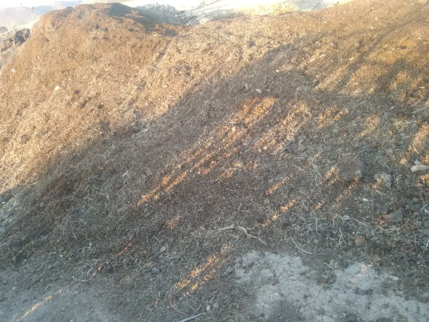 کود حیوانی (پین)فروشی|خدمات باغبانی و درختکاری|بیجار, |دیوار