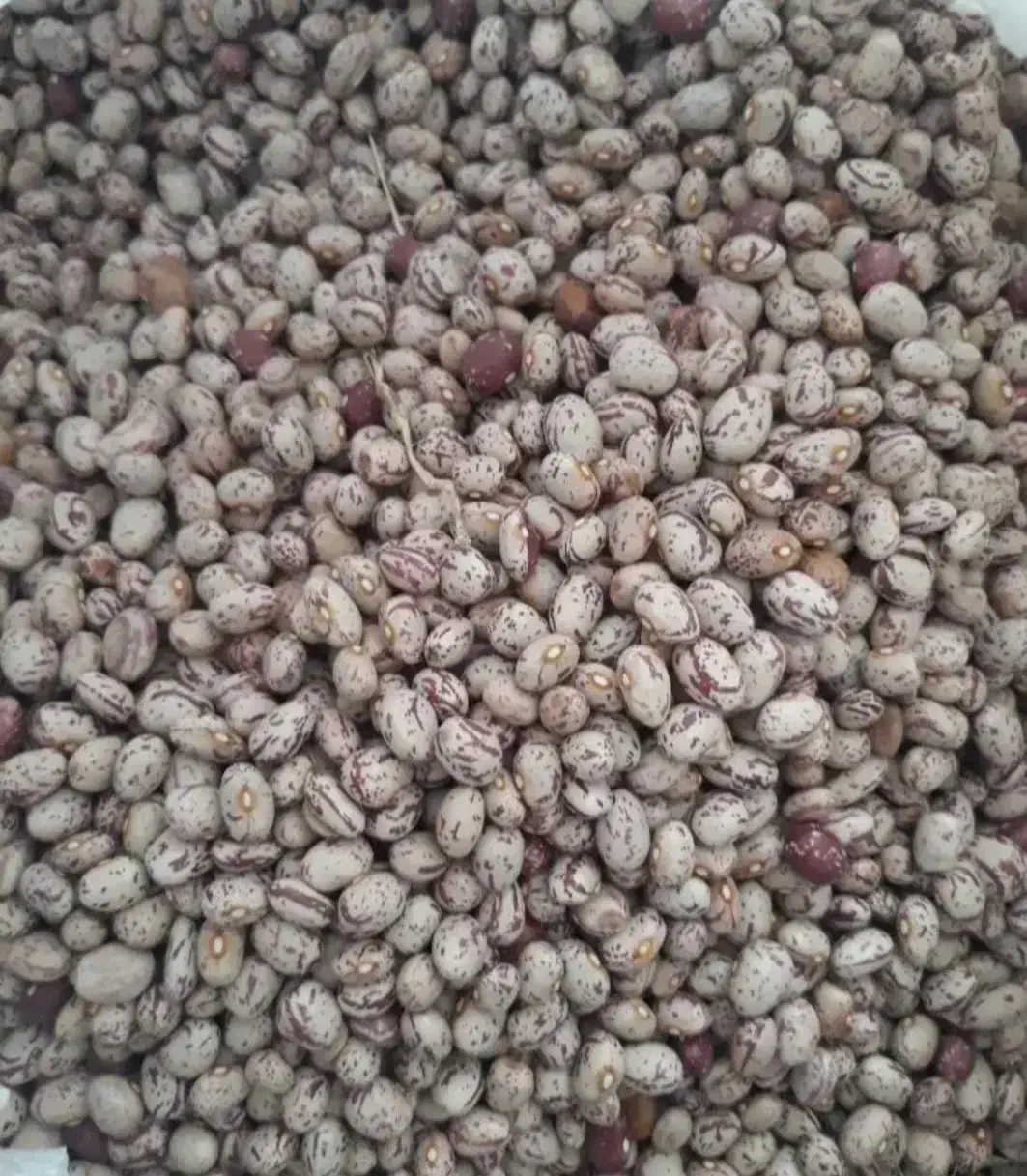 لوبیا چیتی|خوردنی و آشامیدنی|نظر کهریزی, |دیوار