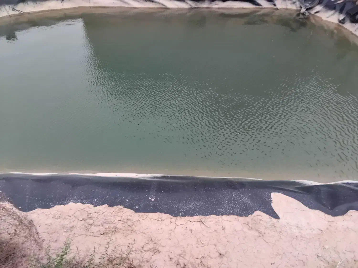 باغ کشاورزی|اجارهٔ دفتر صنعتی، کشاورزی، تجاری|شاهرود, |دیوار