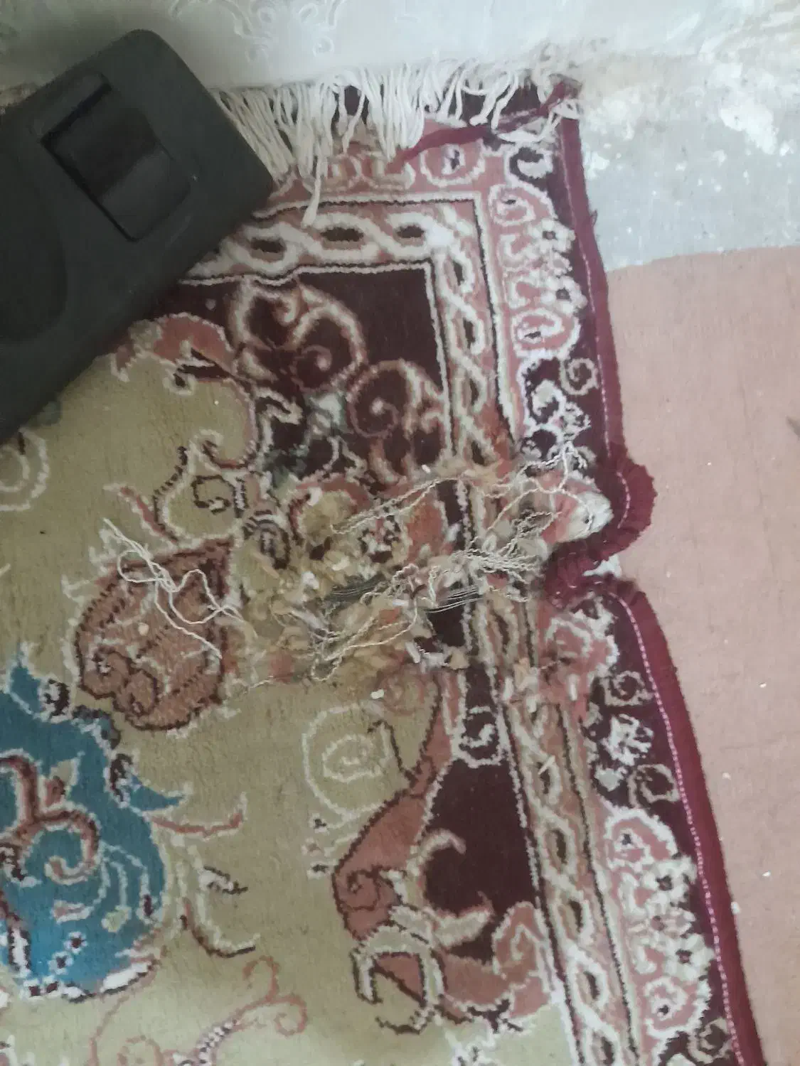 فرش و کناره فرش فقط ۵۵۰|فرش|مشهد, رده|دیوار