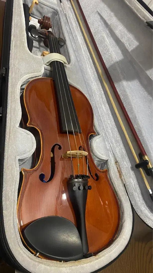 ویلن مدل TF142 تمیز و سالم|ویولن|آمل, |دیوار