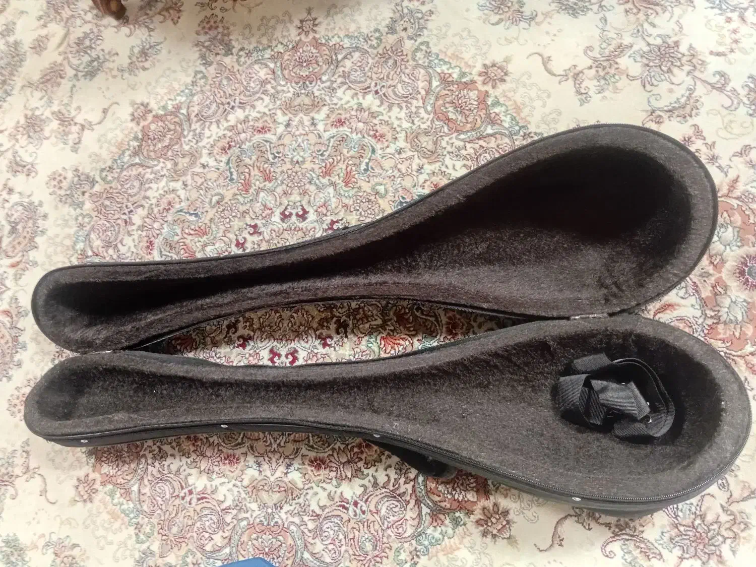 هاردکیس یونولیتی سه تار|سازهای سنتی|تهران, ایرانشهر|دیوار