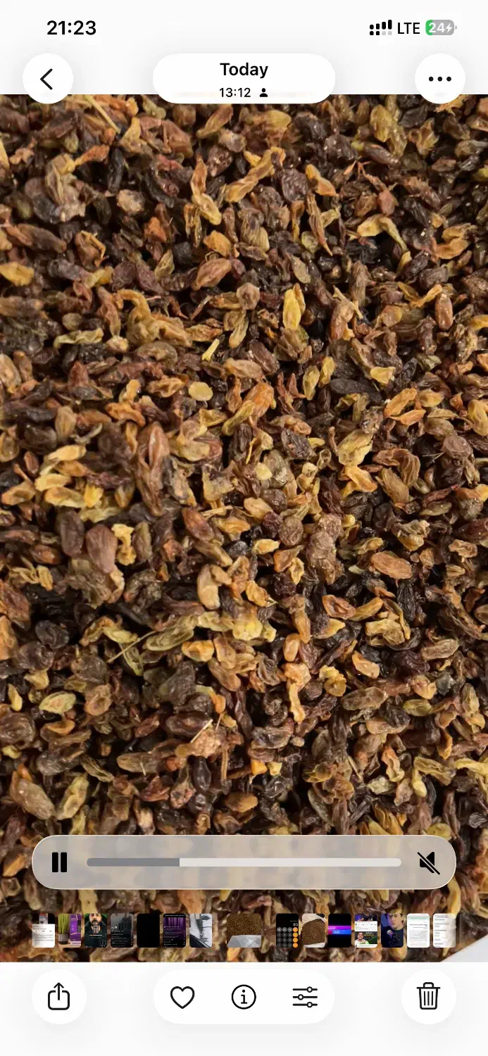 کشمش خلیل آباد|خوردنی و آشامیدنی|نشتارود, |دیوار