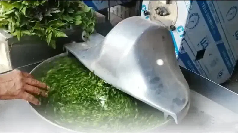 فروشندگی|استخدام خدمات فروشگاه و رستوران|قم, باغ شریفی|دیوار