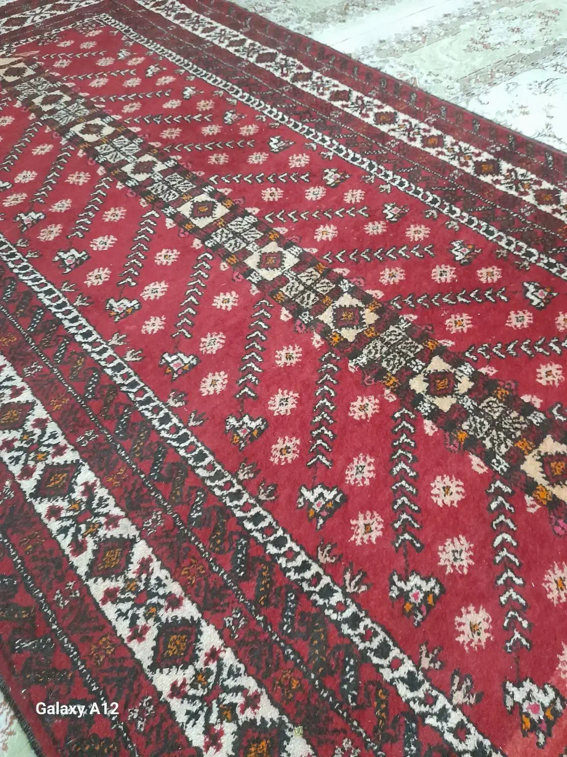 قالیچه دست بافت|فرش|مشهد, ادیب نیشابوری (شهرک غرب)|دیوار