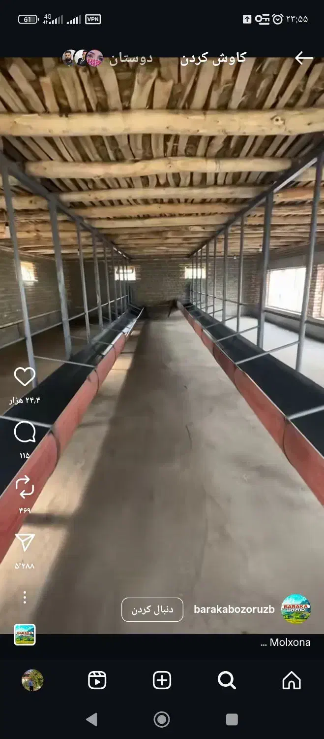 فروش کاه گندم درجه یک|لوازم جانبی حیوانات|سیلاخور, |دیوار