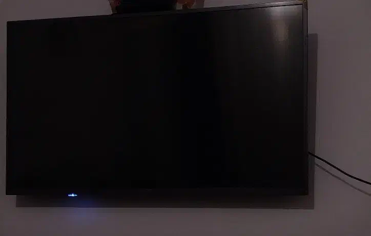 تلویزیون دوو43|تلویزیون و پروژکتور|گنبد کاووس, |دیوار