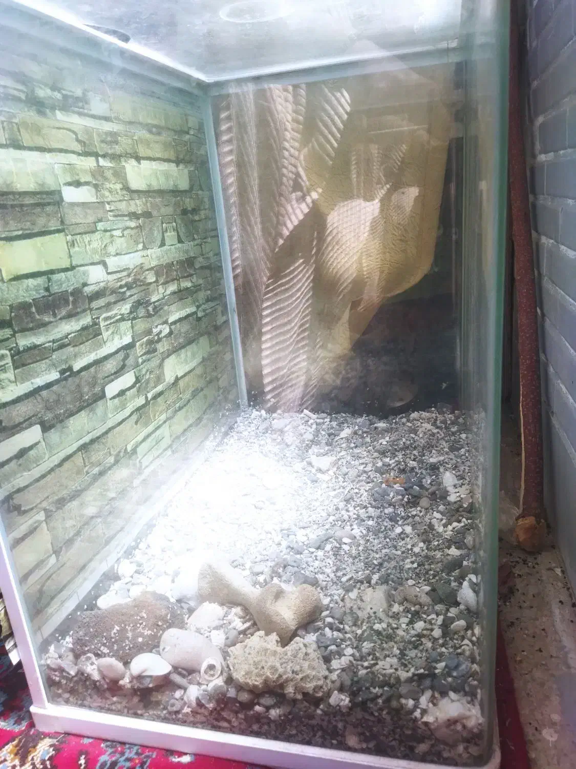 اکواریوم کم استفاده شده|ماهی|فولادشهر, فولادشهر|دیوار