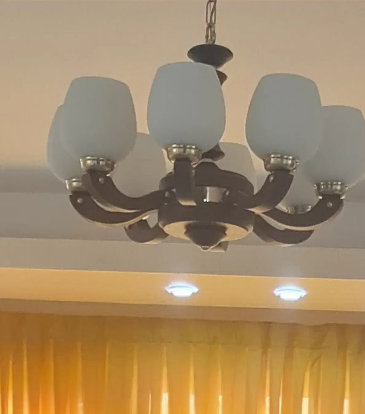 لوستر هشت شاخه و تک شاخه|لوستر و چراغ آویز|ری, هاشمآباد|دیوار