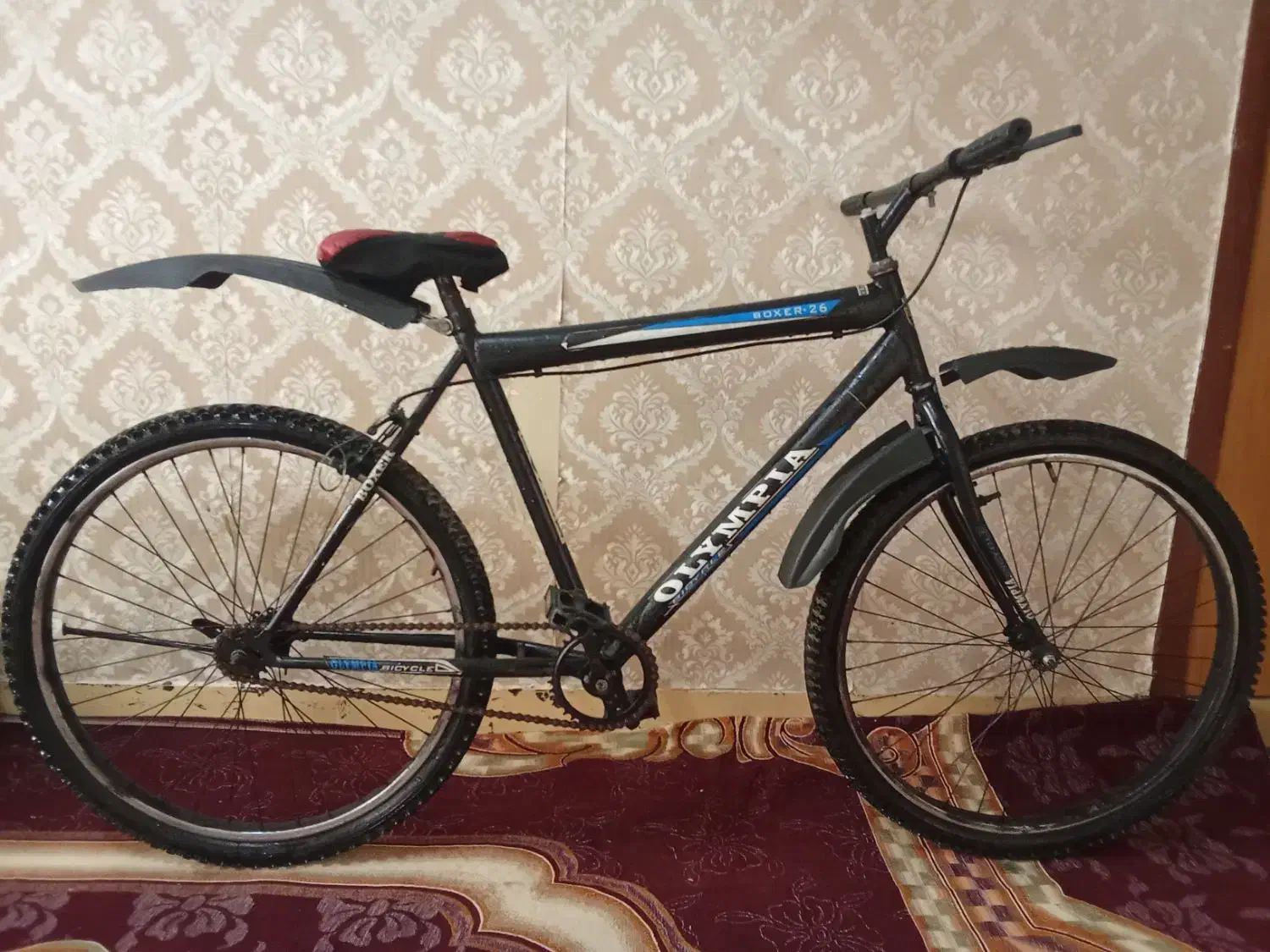 ۲۶ساده شیک|دوچرخه، اسکیت، اسکوتر|شوشتر, |دیوار