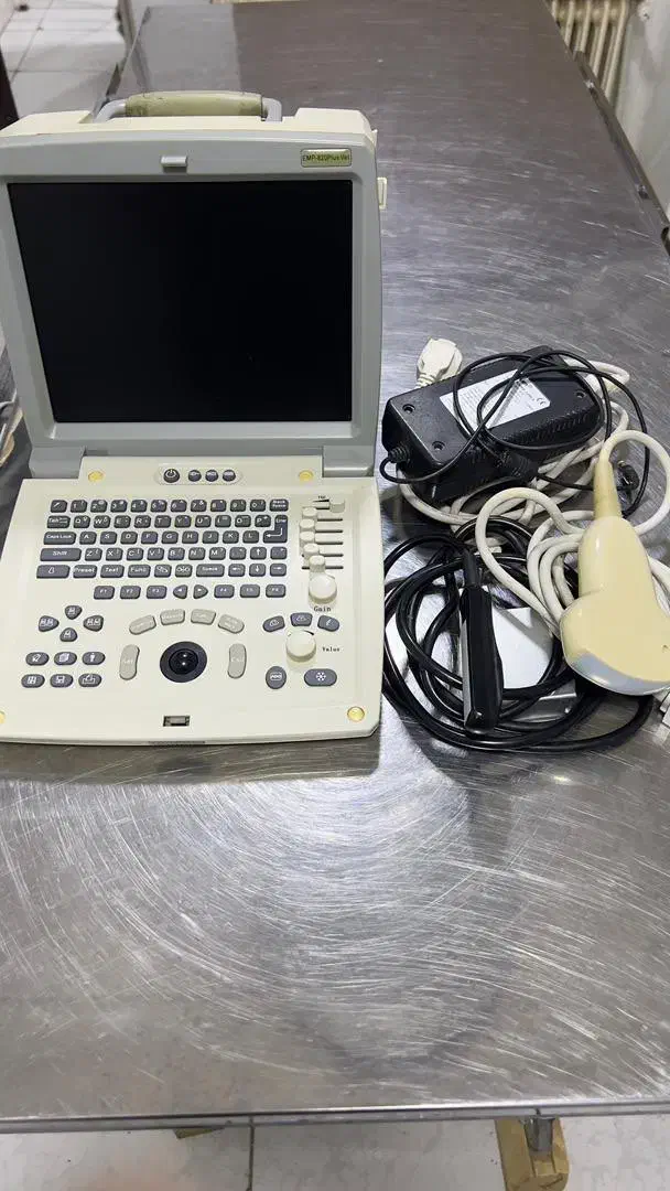 سونوگرافی دامپزشکی|پزشکی|سنندج, |دیوار