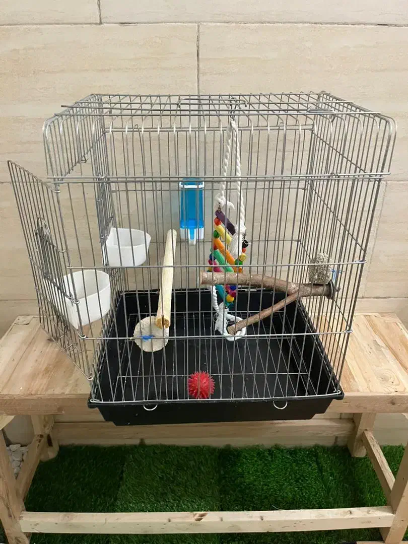 قفس پرنده لوازمی|لوازم جانبی حیوانات|تهران, علم و صنعت|دیوار